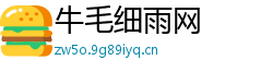 牛毛细雨网